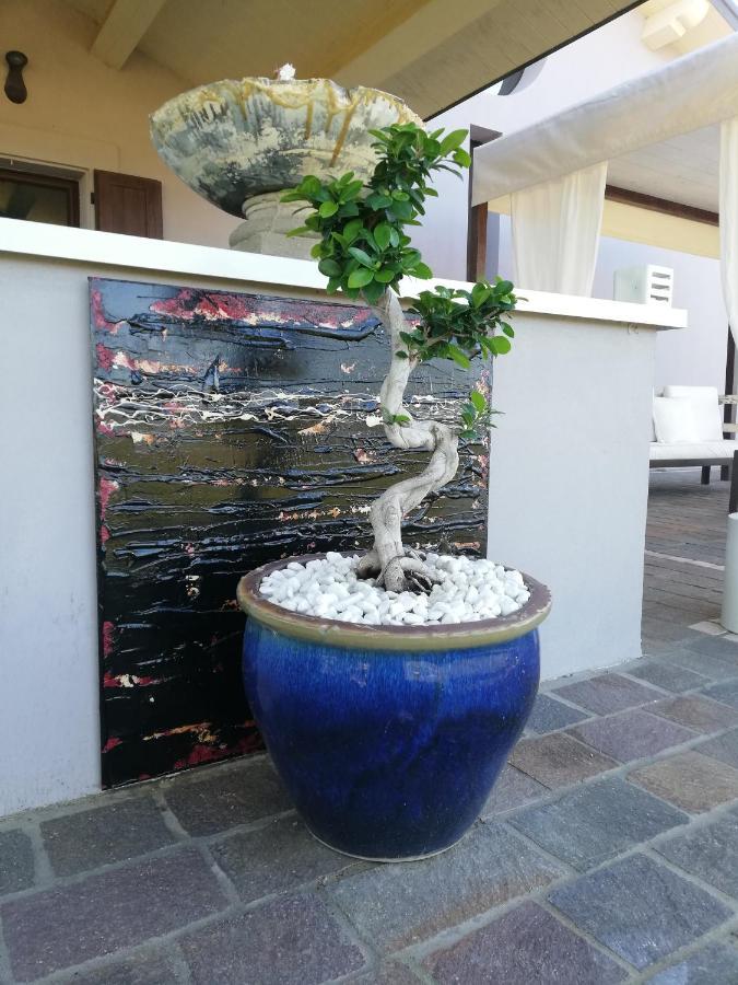 B&B Flavio E Catia Marotta Exterior photo